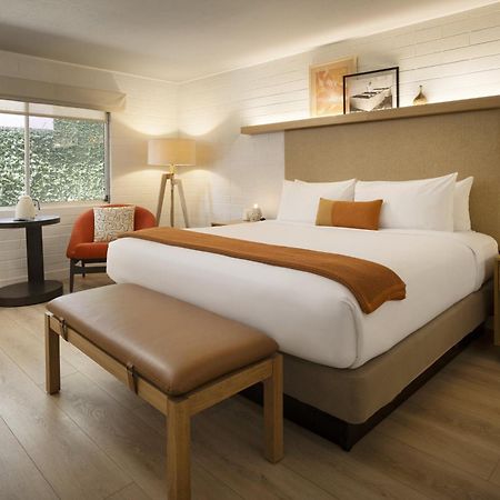 Dr Wilkinsons Backyard Resort And Mineral Springs A Member Of Design Hotels Calistoga Zewnętrze zdjęcie