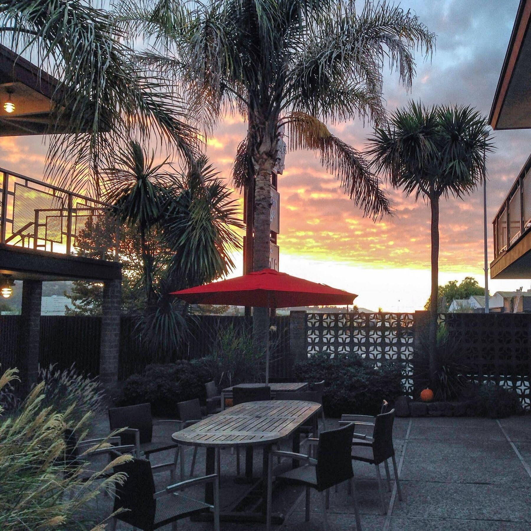 Dr Wilkinsons Backyard Resort And Mineral Springs A Member Of Design Hotels Calistoga Zewnętrze zdjęcie
